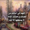 profile/خطاب-عادل-حسن
