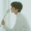profile/بلوبيري