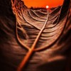 profile/مريم-مساعده