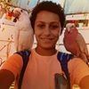 profile/انس-احمد-محمد