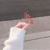 profile/شهد-كريم-عبد-عون