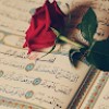 مستخدم مجهول