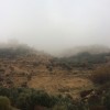 profile/رجا-كريشان