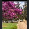 profile/تبارك-بني-ياسين