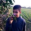 profile/احمد-وفيق