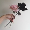 profile/هناء-اسامه