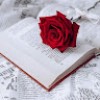 https://cdn.ujeeb.com/users/100*100/hG8SfqJqg7W7Fucw2zp9EXpzpjVHUV2x.jpg