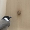 profile/سلطان-ابراهيم