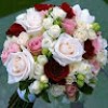 https://cdn.ujeeb.com/users/100*100/iSxLq9p7Z1qru831JLV7pejgrD7po51b.jpg