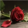 مستخدم مجهول