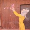 profile/ريم-فاخوري