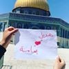 profile/هديل-فضل