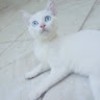 مستخدم مجهول