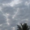 مستخدم مجهول