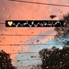 profile/فاطمه-وحيد