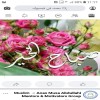 مستخدم مجهول