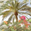 profile/khaouter-zakaria