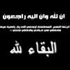profile/محمد-عبدالحميد-1