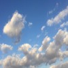 profile/شيخة-1