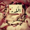 profile/الاء-ابورمان-1