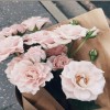 profile/مرفت-فؤاد