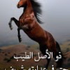 https://cdn.ujeeb.com/users/100*100/nWq8LZO8fJVaoxkBKWZT2GUhRwhL6W0b.jpg