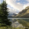 https://cdn.ujeeb.com/users/100*100/nfiU5nc3BrZcDXKL1TbLGjf0owwXKbgC.jpg