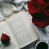 profile/ابتسام-9