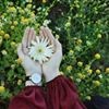 profile/خولة-بن