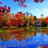 https://cdn.ujeeb.com/users/100*100/opYhvmUdfpfPNc9pd1Z98MI07kNCdpA6.jpg