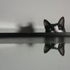 profile/yosra-marso