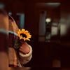 profile/دعاء-يوسف