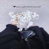 profile/ملك-موسى