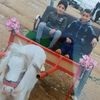 مستخدم مجهول