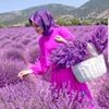 مستخدم مجهول