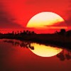 https://cdn.ujeeb.com/users/100*100/qW94OZjXhTMJhekoVcI8cKrGfLCprhGN.jpg
