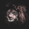 profile/اعلم-اليوم