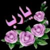 مستخدم مجهول