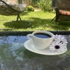 https://cdn.ujeeb.com/users/100*100/qlzOZJIPISQzg6l2DWoo1XSwm0UwecGnh5QEnu59.jpg