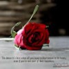 https://cdn.ujeeb.com/users/100*100/rGZtOkuUCm3EzbSlUkmnq32gjeoHESNB.jpg