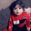 profile/روجين-مللي