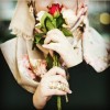 profile/دعاء-ملص