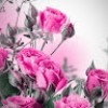 https://cdn.ujeeb.com/users/100*100/rzxyupacDGJN97BWrSNZ6klfZcvwTYqP.jpg