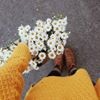 profile/اسيل-بني-ارشيد