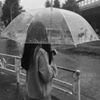 profile/كوثر-طارق
