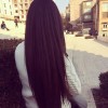 profile/ليلى-ابراهيمي