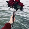 https://cdn.ujeeb.com/users/100*100/t70nFGYFZT5q6U73bXg7bV8aRIgWIsTb.jpg
