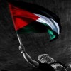 profile/فرح-وليد