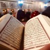 profile/خولة-الغامدي