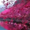 profile/نسمة-أمل
